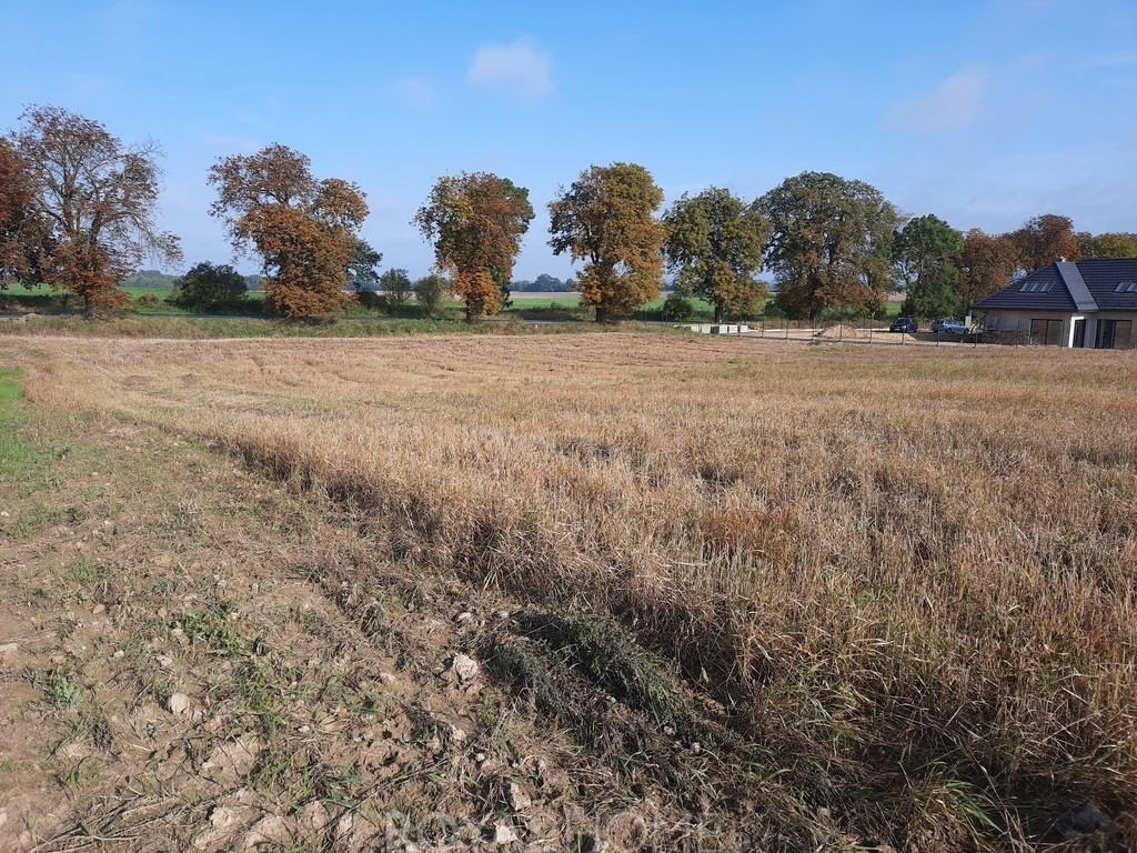 Działka Sprzedaż Kurów