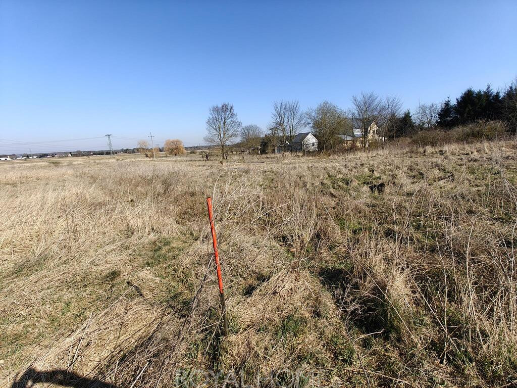 Działka Sprzedaż Motaniec