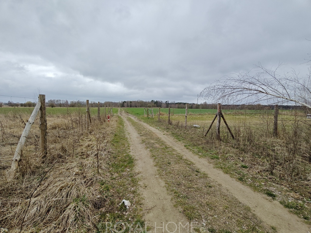 Działka Sprzedaż Wąwelnica