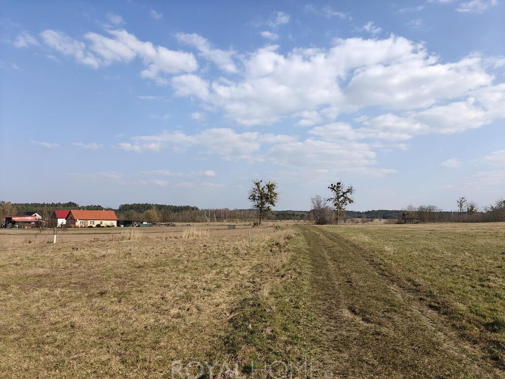 Działka Sprzedaż Żarnowo