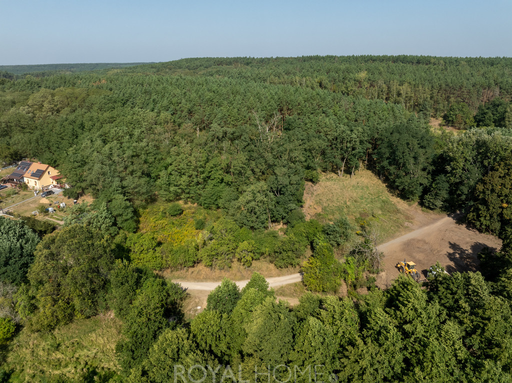 Działka Sprzedaż Stary Błeszyn