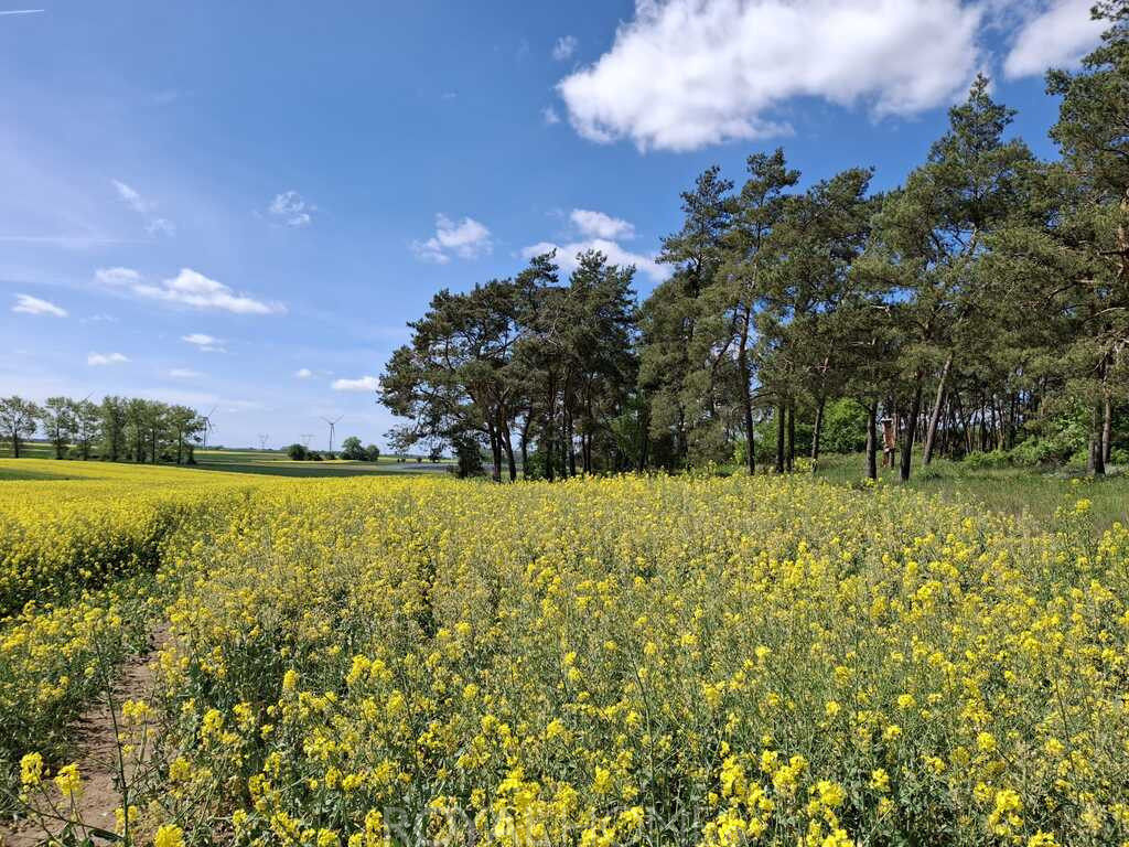 Działka Sprzedaż Parsów