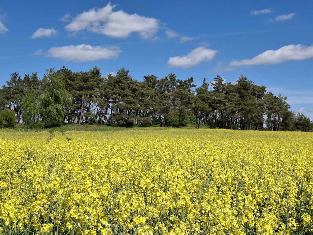 Działka Sprzedaż Parsów