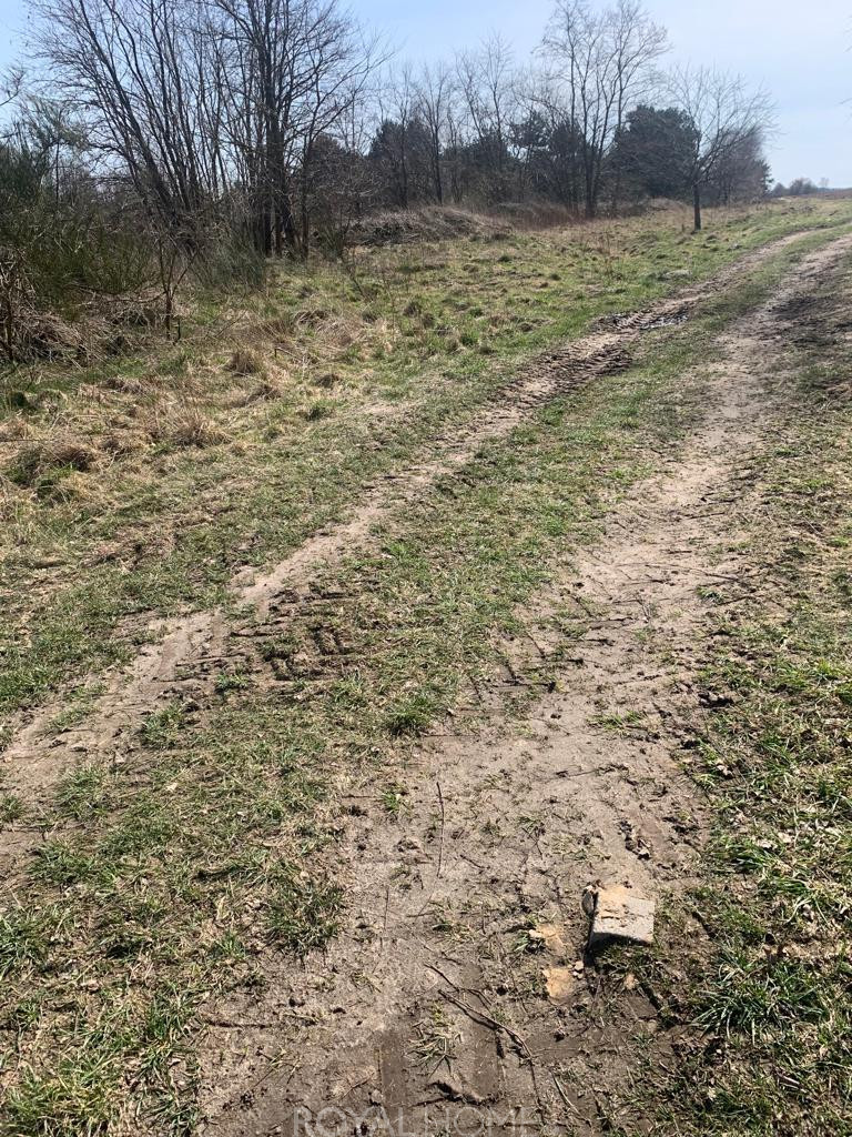 Działka Sprzedaż Świeszewo