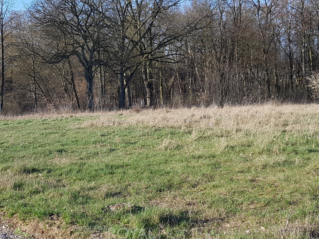 Działka Sprzedaż Kościno