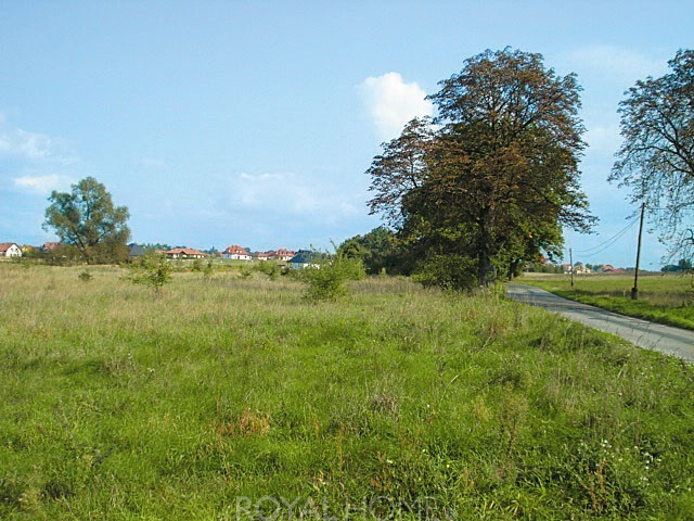 Działka Sprzedaż Kościno