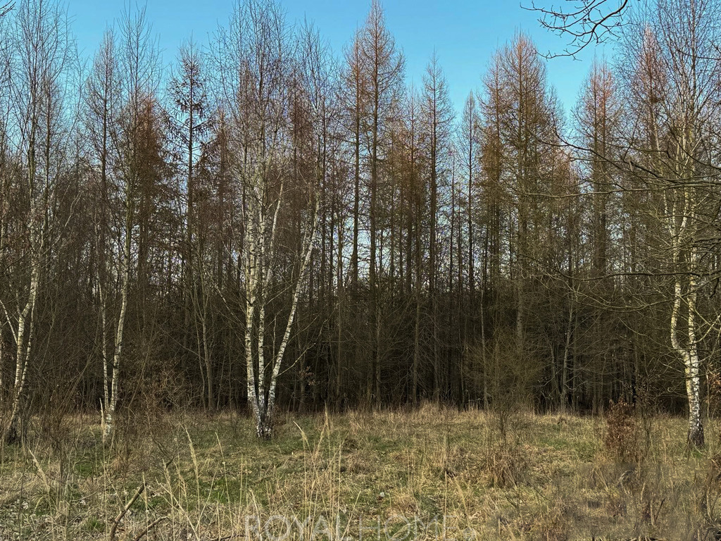 Działka Sprzedaż Błotno Błotny Młyn