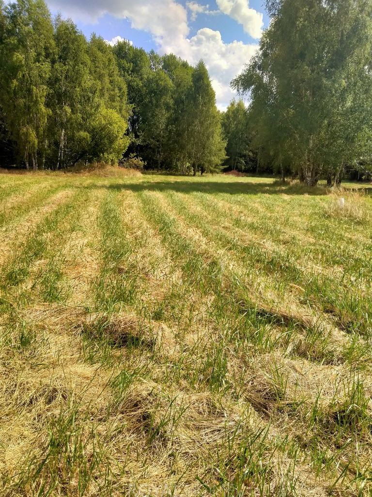 Działka Sprzedaż Grzepnica