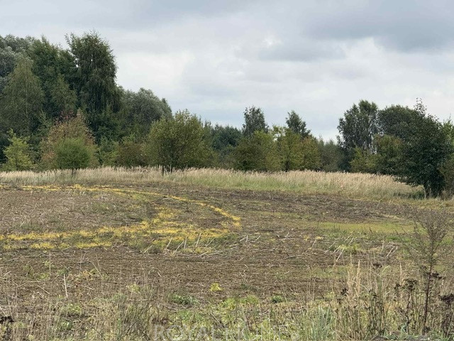 Działka Sprzedaż Stara Dąbrowa