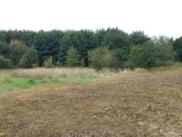 Działka Sprzedaż Stara Dąbrowa