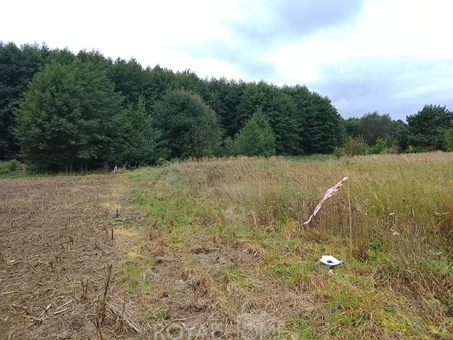Działka Sprzedaż Stara Dąbrowa