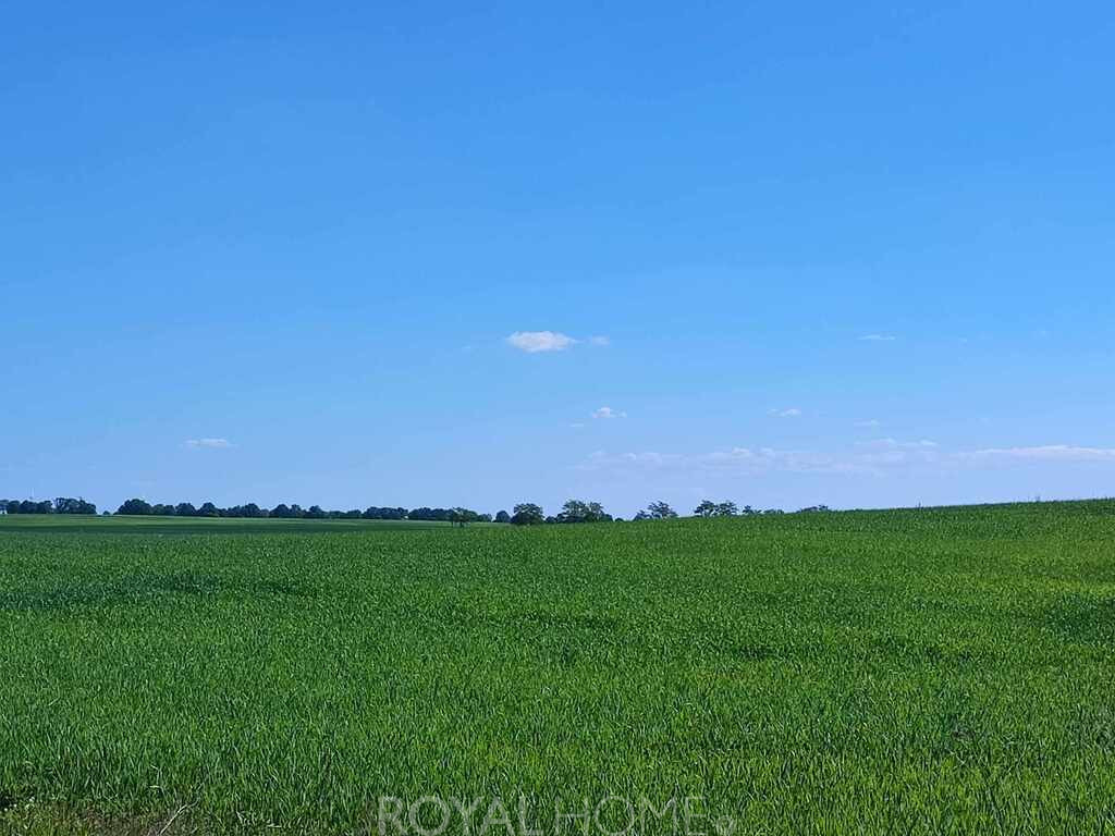 Działka Sprzedaż Grabowo
