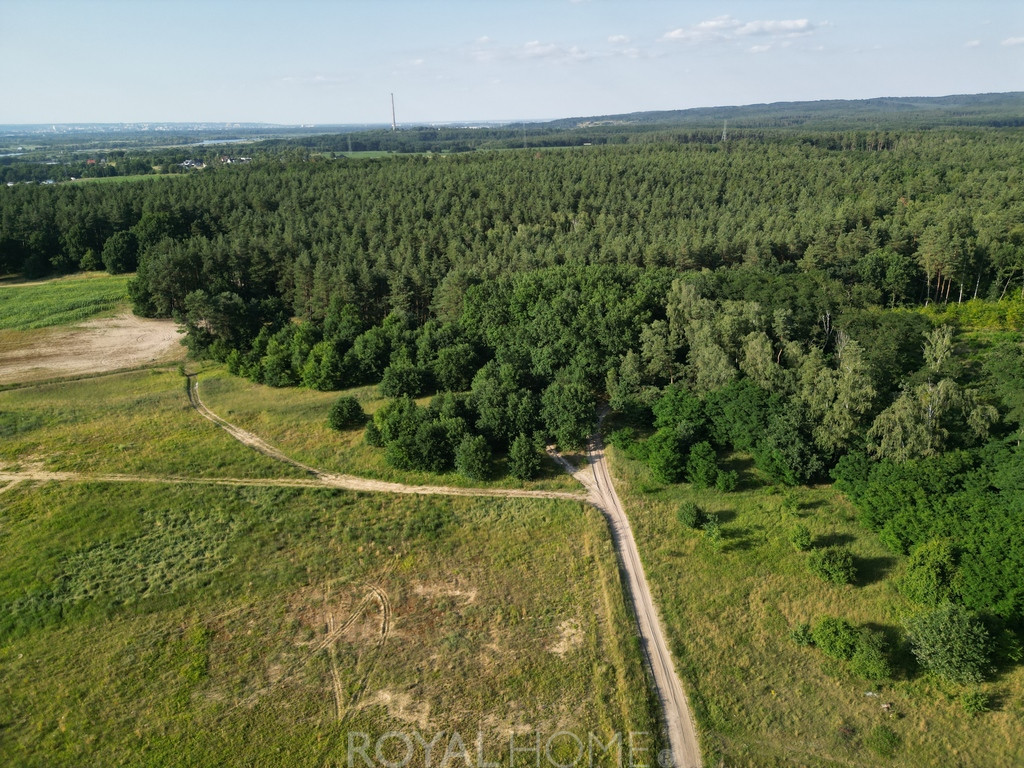 Działka Sprzedaż Daleszewo
