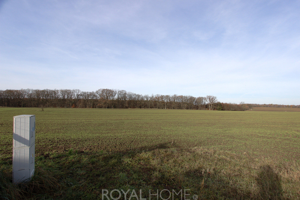 Działka Sprzedaż Storkowo
