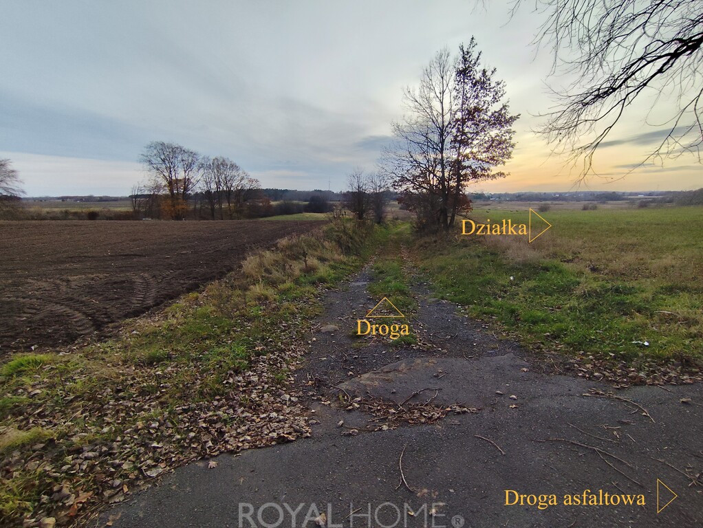 Działka Sprzedaż Wojcieszyn