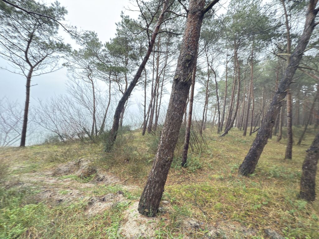 Mieszkanie Sprzedaż Międzywodzie Westerplatte