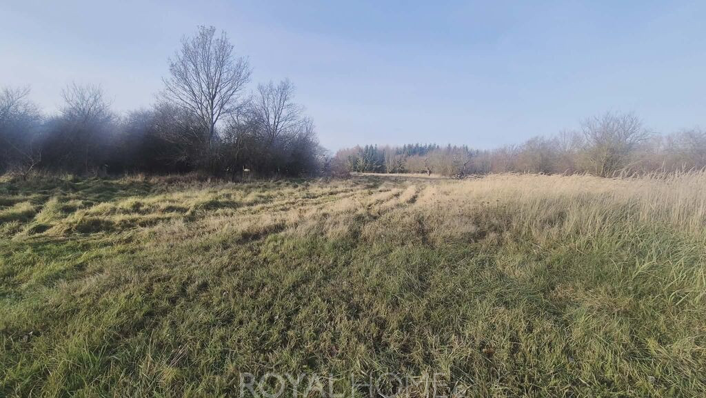 Działka Sprzedaż Tatynia