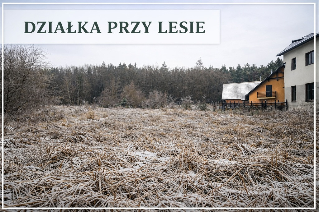 Działka Sprzedaż Pilchowo