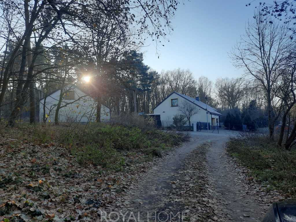 Działka Sprzedaż Czepino