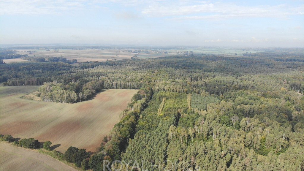 Działka Sprzedaż Rów