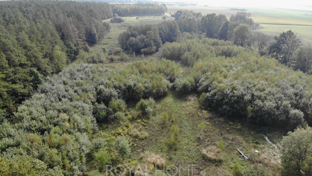 Działka Sprzedaż Rów