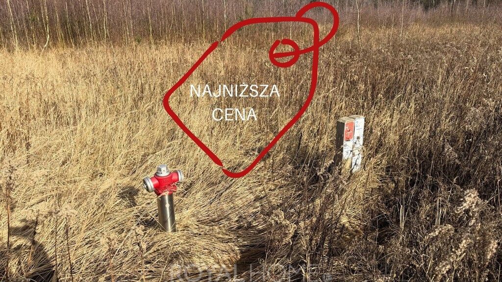 Działka Sprzedaż Żółwia Błoć
