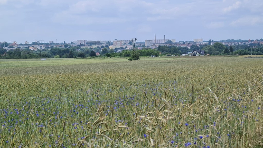 Działka Sprzedaż Stargard