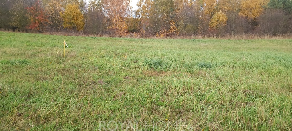 Działka Sprzedaż Steklno