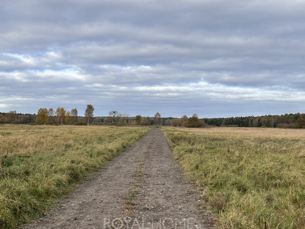 Działka Sprzedaż Niedźwiedź