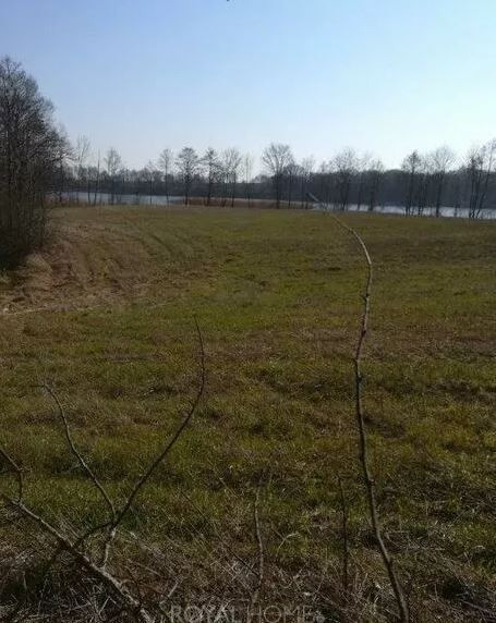 Działka Sprzedaż Kaszewo