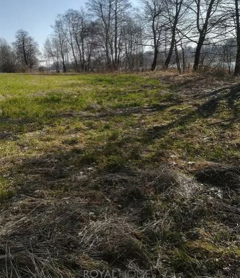 Działka Sprzedaż Kaszewo