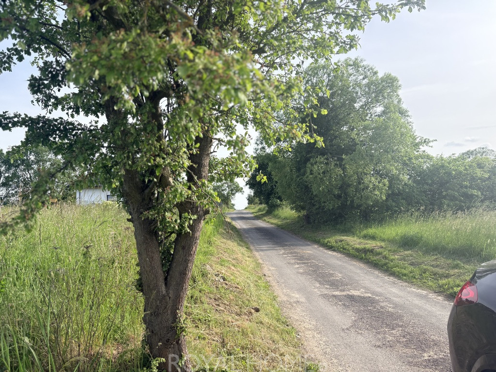 Działka Sprzedaż Przęsocin