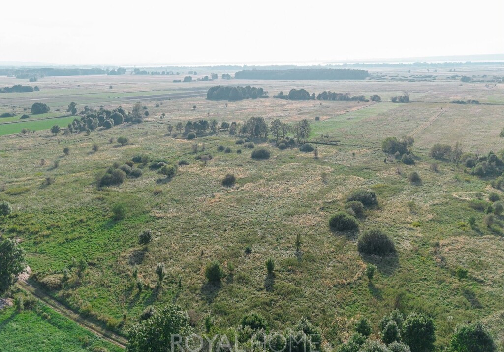 Działka Sprzedaż Rurzyca