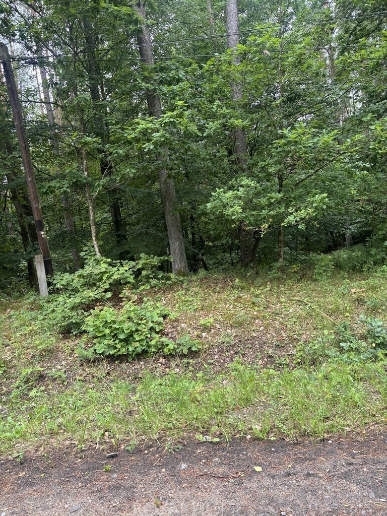Działka Sprzedaż Piaseczno