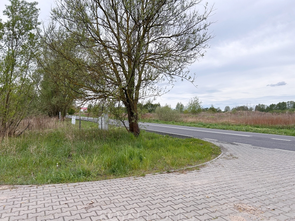 Działka Sprzedaż Szczecin Dąbie Lubczyńska