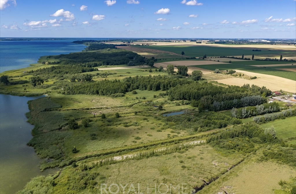 Działka Sprzedaż Wierzbno