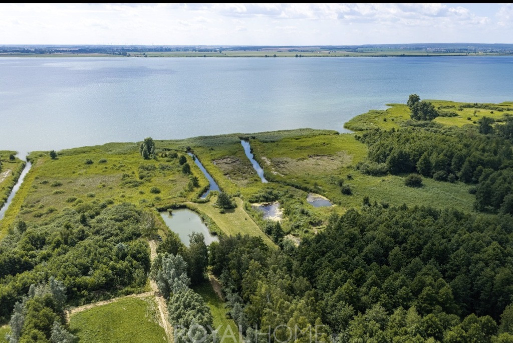 Działka Sprzedaż Wierzbno