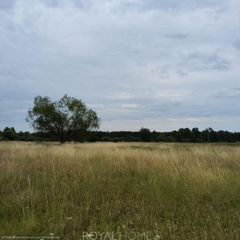 Działka Sprzedaż Buk