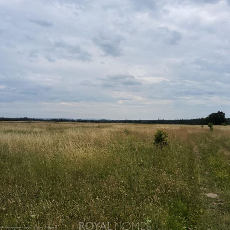 Działka Sprzedaż Buk