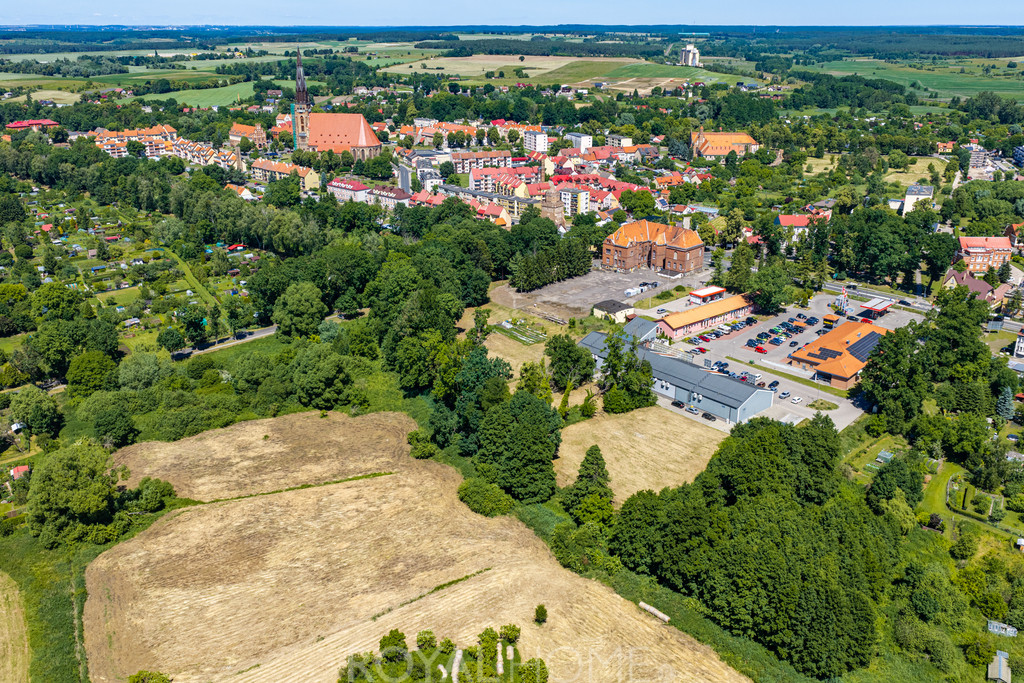 Działka Sprzedaż Chojna