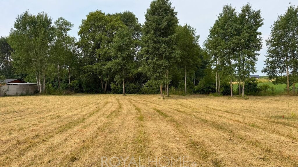 Działka Sprzedaż Marszewo