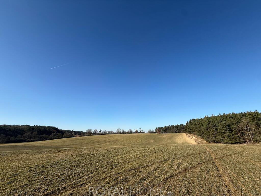 Działka Sprzedaż Buk