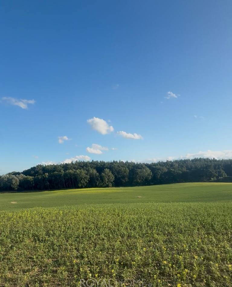 Działka Sprzedaż Buk