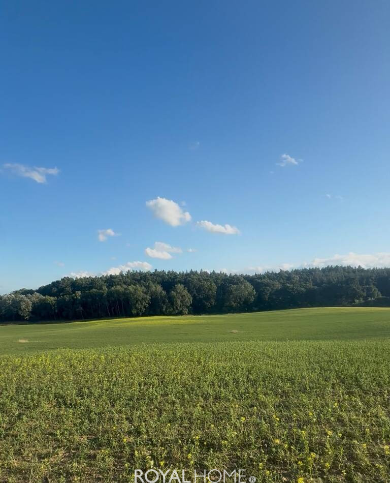 Działka Sprzedaż Buk