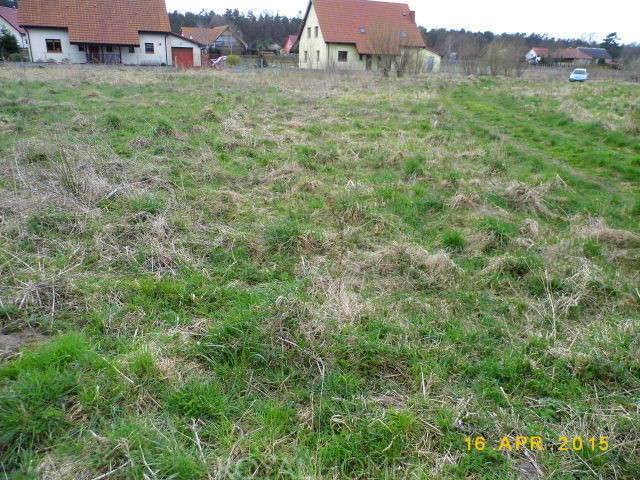 Działka Sprzedaż Brzózki