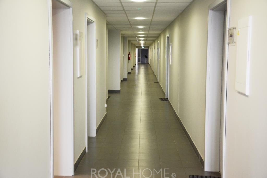 Lokal Wynajem Szczecin Śródmieście