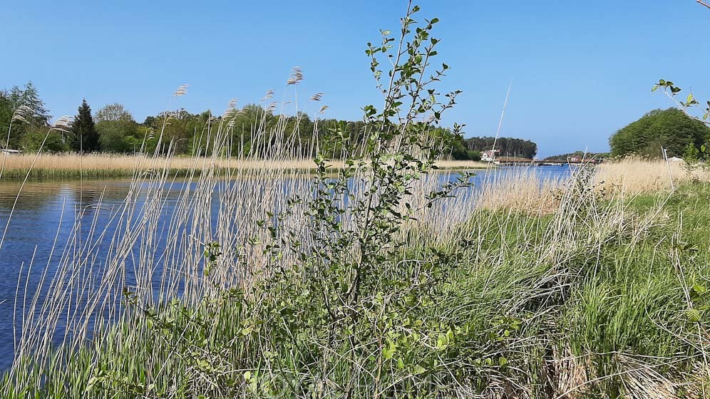 Działka Sprzedaż Mrzeżyno