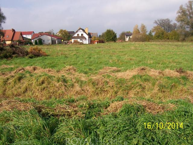Działka Sprzedaż Choszczno
