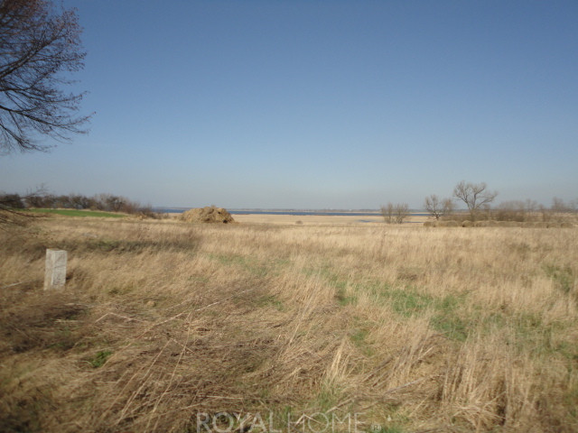 Działka Sprzedaż Turze