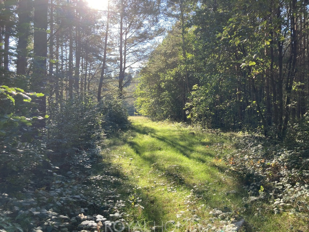 Działka Sprzedaż Krzepocin
